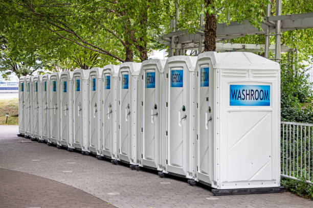 Portable Toilet Options We Offer in Lac Du Flambeau, WI
